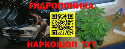 хмурый Гусь-Хрустальный