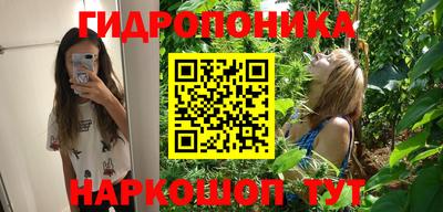 хмурый Гусь-Хрустальный