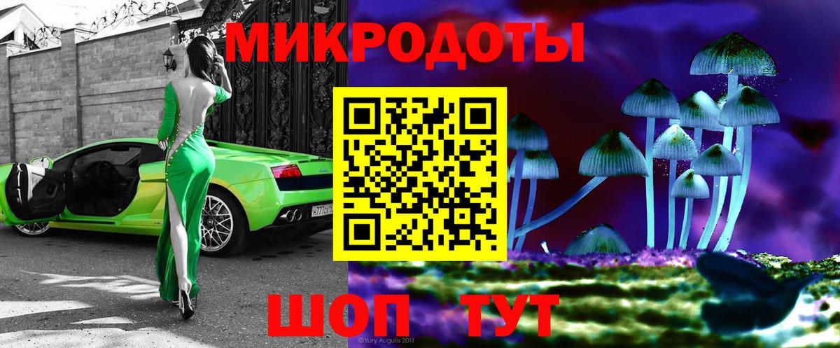 Галлюциногенные грибы Psilocybine cubensis Междуреченск