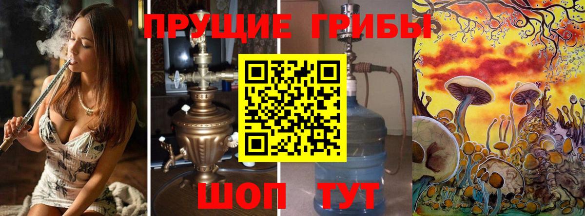 Галлюциногенные грибы Cubensis  Вход с VPN  Междуреченск 